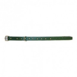 COLLAR PERRO COSIDO 3. 5X60...