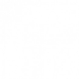 TOSTADOR DOBLE RANURA LARGA...