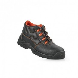 BOTA ECONOMICA